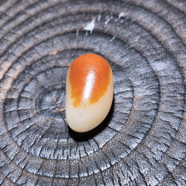 Top Collectible Lonely Stone with Red Skin – 4.8g