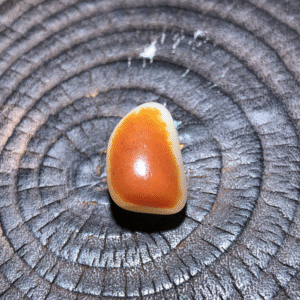 Top Collectible Lonely Stone with Red Skin – 4.8g