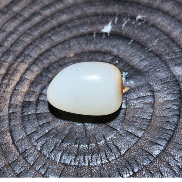 Top Collectible Lonely Stone with Red Skin – 4.8g
